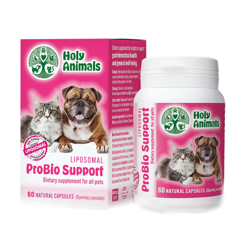 ProBio Support – για το έντερο, 60 κάψουλες